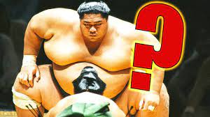 Why Are Sumo Wrestlers Fat