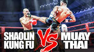 kickboxing vs kung fu