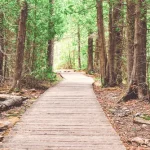 Batemans Bay's Nature Walks