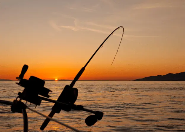 Reasons You Should Opt for a Fishing Trip with Your Spouse