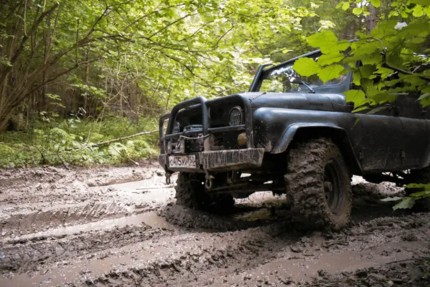 Protecting Wildlife and Your 4×4: Ethical Considerations with Bull Bars