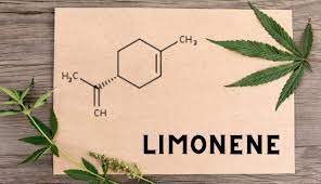 Limonene in Cannabis: Unveiling Its Effects and Utilizations