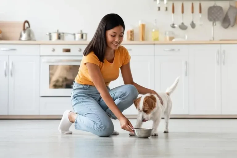 The Digital Frontier of Pet Wellness: Decoding the Role of Raw Nutrition