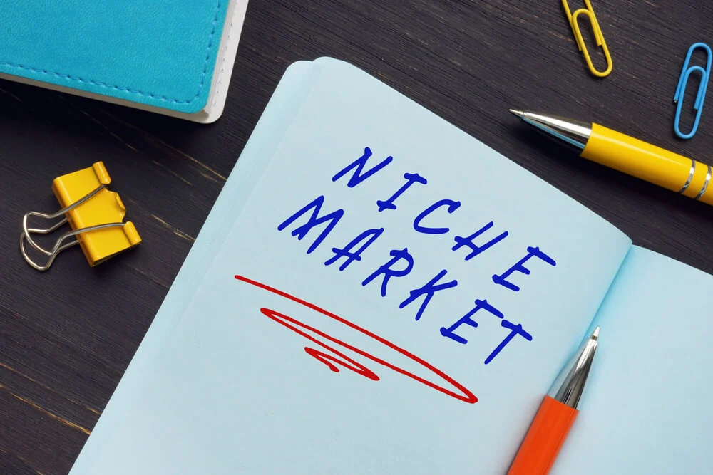 SEO Strategies for Niche Product Domination