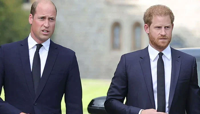 Harry and William: A Tale of Royal Brothers