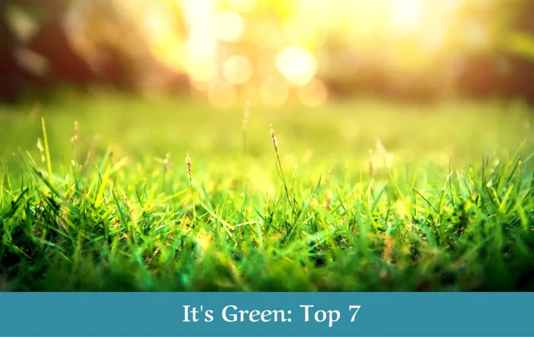 It’s Green Top 7: Answers