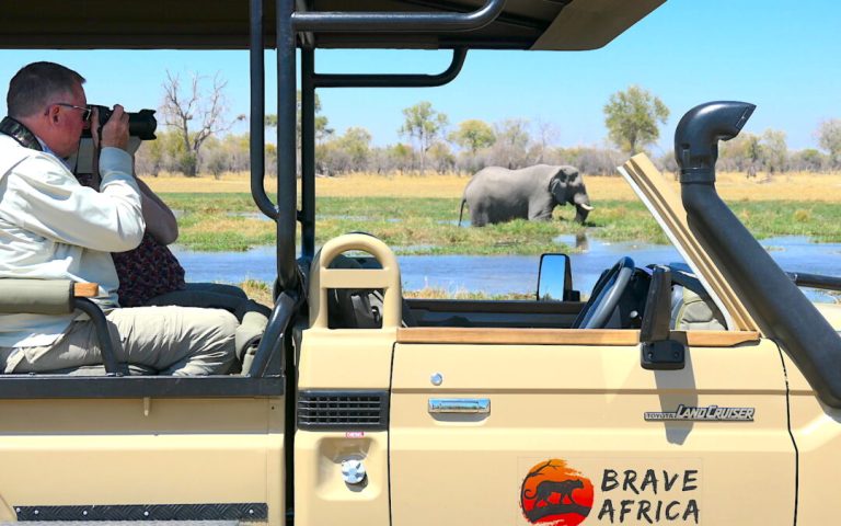 Must-Have Experiences on Your African Safari Adventure