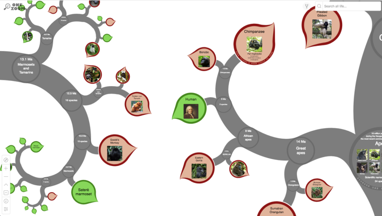 The Evolution of Family Trees: Tracing Lineage in the Modern Era