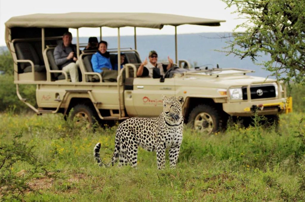 The Ultimate Guide to Planning a Luxury Safari Adventure