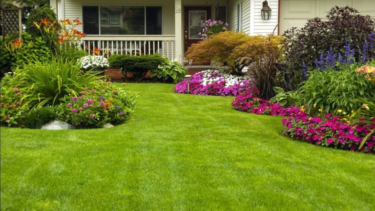 A Guide to Year-Round Lawn Care: Nurturing Your Garden Through the Seasons